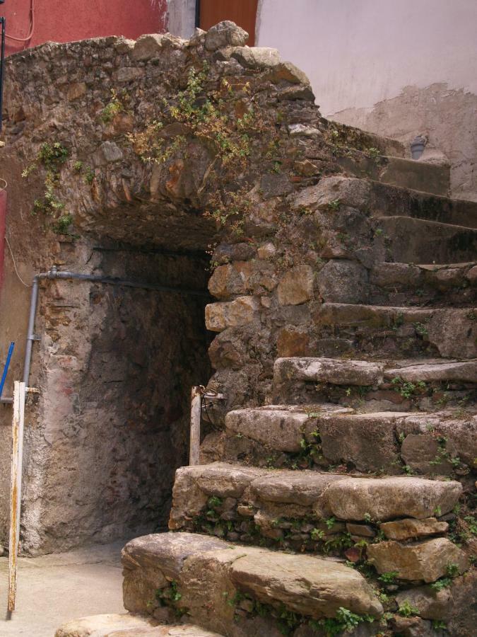B&B Mamma Elena Rovito Eksteriør bilde
